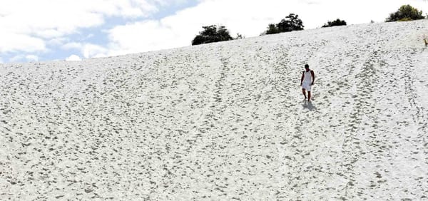 Bahia: É preciso barrar o projeto de urbanização das Dunas do Abaeté