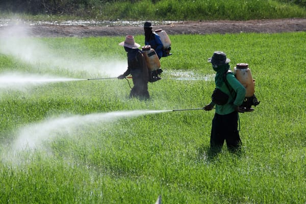 “PL do Veneno” será mais um Cartão Vermelho para o meio ambiente