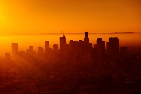 Capitalismo criou uma catástrofe climática