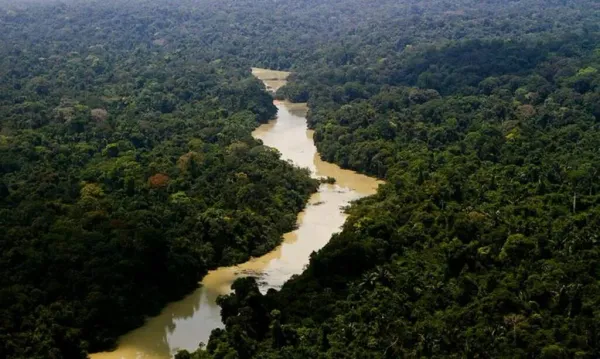 Em ano de El Niño, Congresso avança sobre áreas protegidas e reduz Flona do Jamanxim