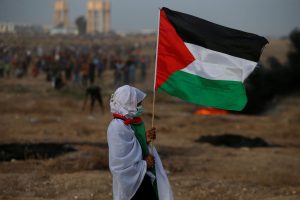 Palestina: um ano de genocídio e resistência