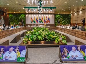 Cúpula Amazônica ignora “Carta dos Povos da Terra” e não apresenta nenhuma medida em defesa da floresta