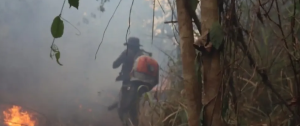 MA: Terra Indígena Alto Turiaçú sofre com incêndio florestal há mais de um mês